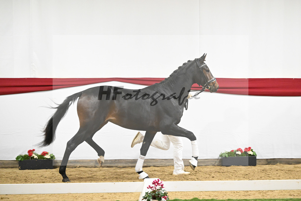 Kat-Nr. 53 v. Marc Cain_van der Raadt_63221472 | hf-fotografie - Realizzato con Pictrs.com