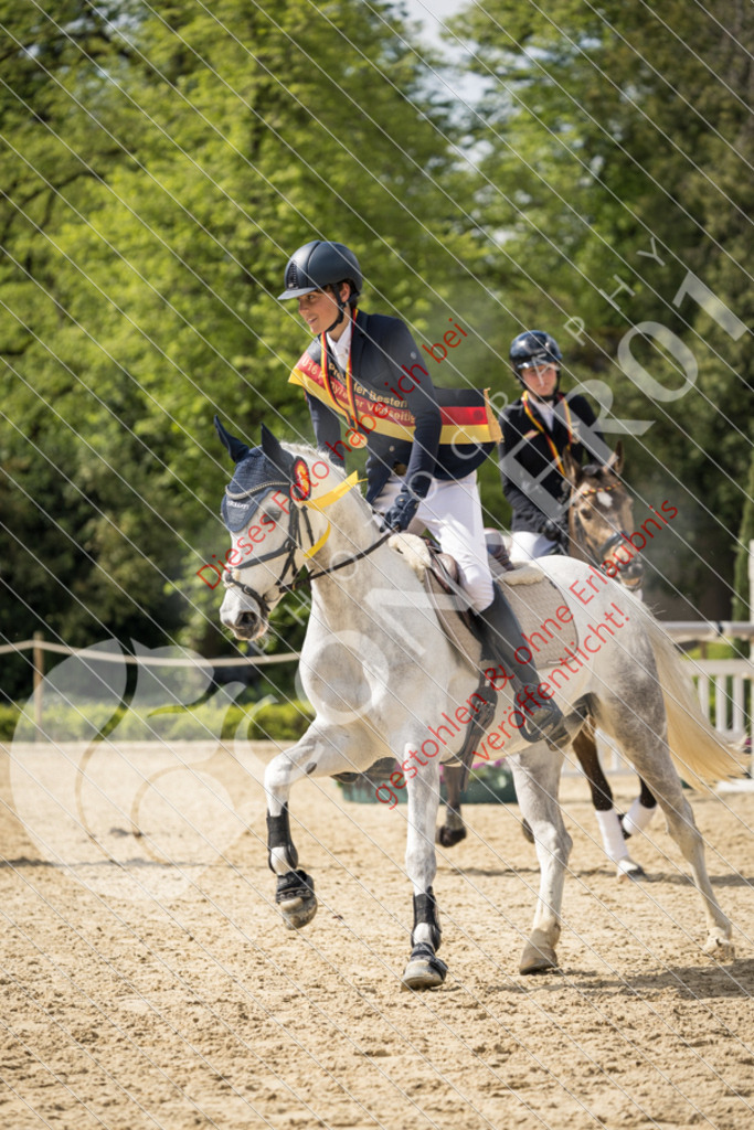 CON_0843 | Sport-, Event- und Tierfotos in Profiqualität. Einfach auswählen, bestellen und herunterladen. Dein Moment – perfekt festgehalten.