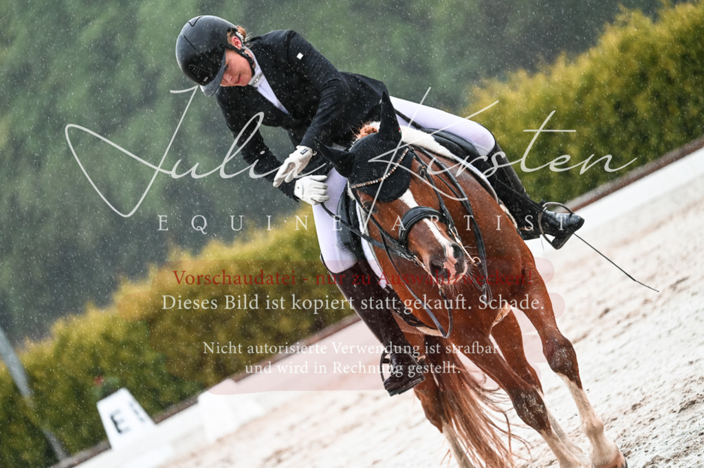 DSC_4645 | Pferde- und Turnierfotografie in Westsachsen. Pferdeportraits, Auftragszeichnungen und intuitive Kunst.