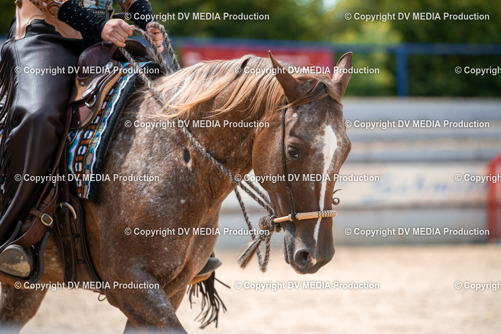 EWP_6695 | dv-media-shop - Realisiert mit Pictrs.com