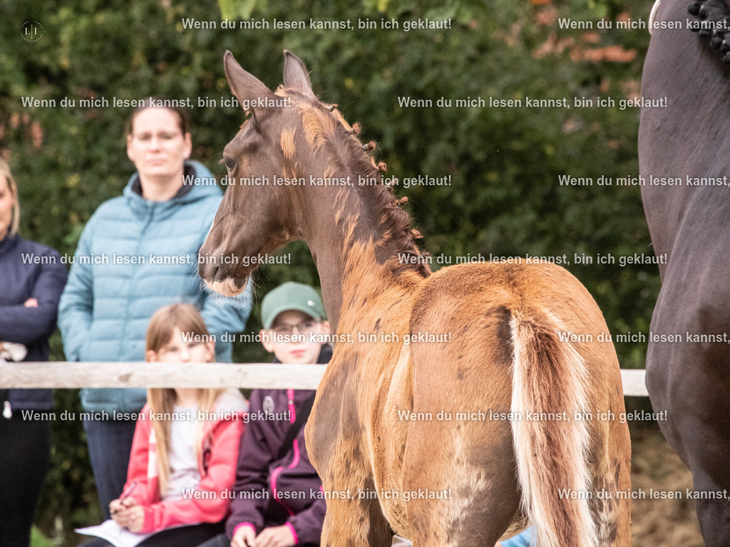 A10I9994 | photographylinaismer - Realisiert mit Pictrs.com