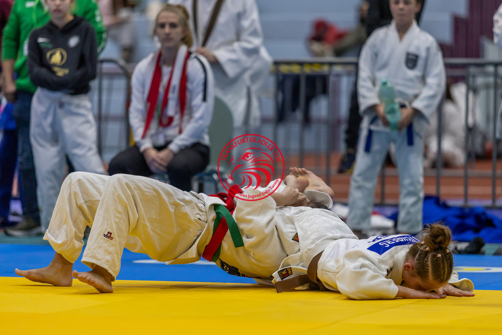 Internationaler Adler Cup 2024 | Foto vom Internationalen Adler Cup Judo Turnier im Sport- und Freizeitzentrum Kalbach im Oktober 2024 - Realisiert mit Pictrs.com