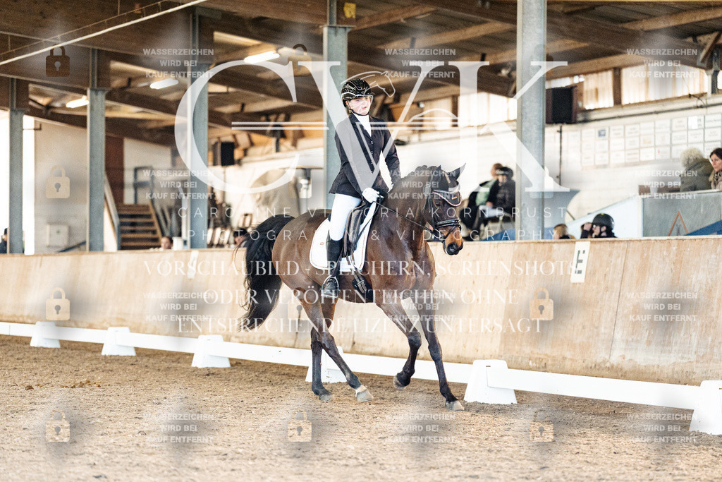 CK907985 | Turnierfotografie Pferdefotografie Trier Rheinland-Pfalz Pferdesport Reitsport Tierfotografie Sportfotografie Pferdevideo Pferdevideografie Equestrianvideography equestrianphotography  - Realisiert mit Pictrs.com
