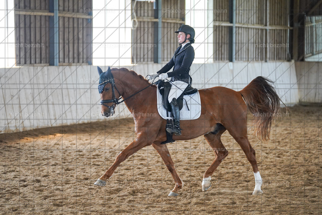 20230520-FAH05539 | Frühjahrsturnier, Landsberg am Lech, 2023, Reitclub Landsberg, Turnierbilder, Fotos Turnier Landsberg, Fotoagentur Herrmann, Turnierfotografen Bayern, Reitsport Fotograf, Pferde Fotograf