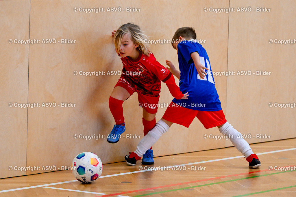 ASVÖ_ Fussballturnier SV Gallneukirchen_ 09.02.2025-36 | 09.02.2025, Gallneukirchen, AUT, ASVÖ, Fussball Nachwuchs Hallenturnier 2025, SV Gallneukirchen im Bild Teilnehmer U 9©Harald Dostal / fodo.media - Realisiert mit Pictrs.com