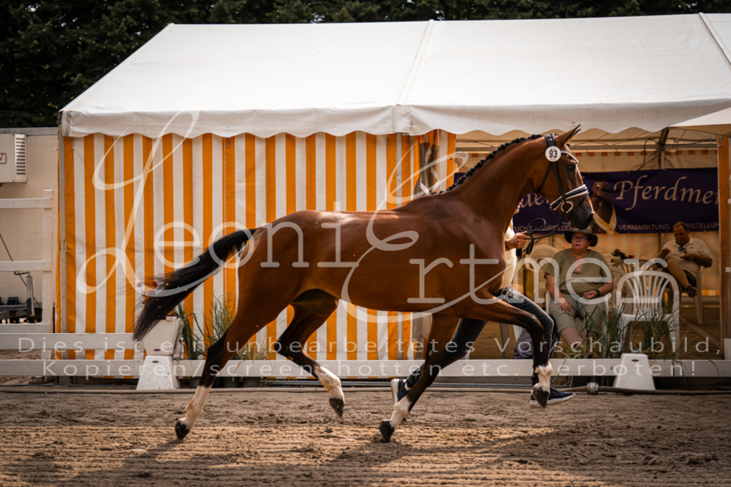 FrER00058 | Leoni Ertmer Photography - Realisiert mit Pictrs.com