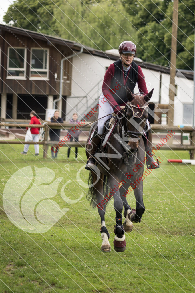 IMG_2461 | Sport-, Event- und Tierfotos in Profiqualität. Einfach auswählen, bestellen und herunterladen. Dein Moment – perfekt festgehalten.