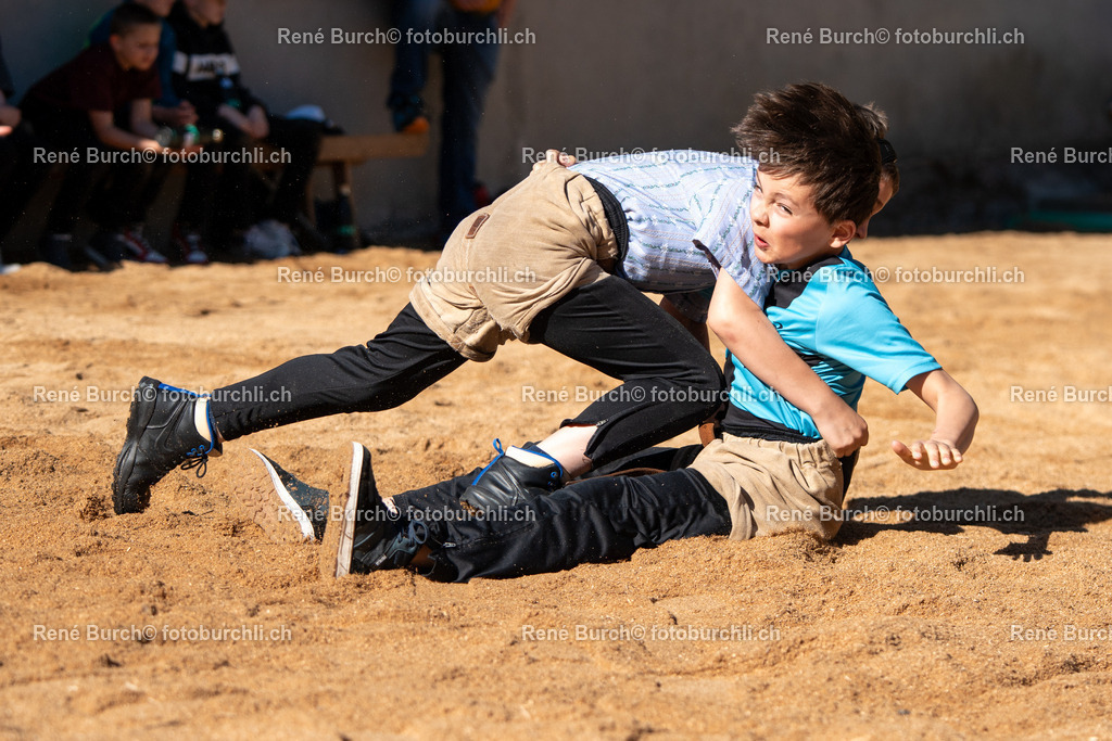RB_06780 | René Burch leidenschaftlicher Fotograf aus Kerns in Obwalden.  Hier finden sie Sport, Landschaft und Natur Fotografie.
 - Realisiert mit Pictrs.com