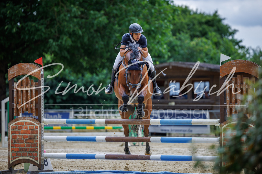 20260705-_3LI5807 | Tierfotografie Pferde, Hunde, Katzen, Haustiere.
Turnierfotografie Reitturniere, Reiten, Springreiten, Dressur in Hanau, dem Main-Kinzig-Kreis und dem Rhein-Main- Gebiet um Frankfurt