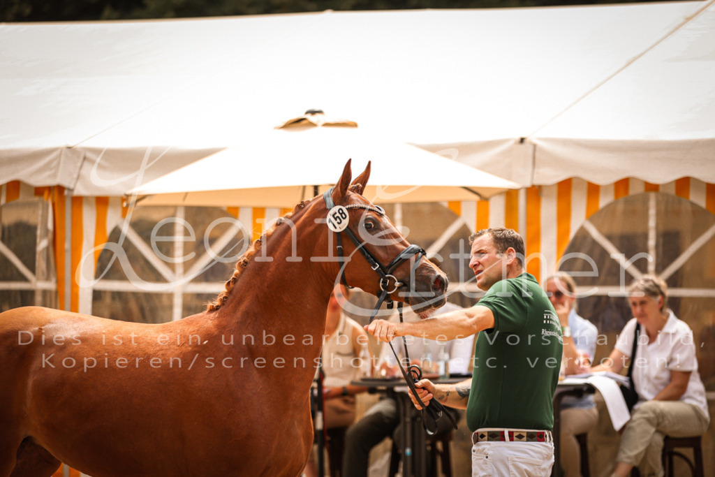 10.So00092 | Leoni Ertmer Photography - Realisiert mit Pictrs.com