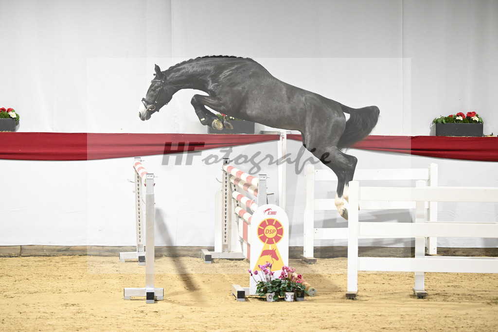Kat-Nr. 41 v. Asca_Buchele_63221030 | hf-fotografie - Realisiert mit Pictrs.com