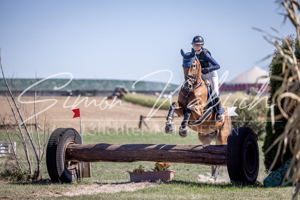 20260906-_3LI3867 | Tierfotografie Pferde, Hunde, Katzen, Haustiere.
Turnierfotografie Reitturniere, Reiten, Springreiten, Dressur in Hanau, dem Main-Kinzig-Kreis und dem Rhein-Main- Gebiet um Frankfurt