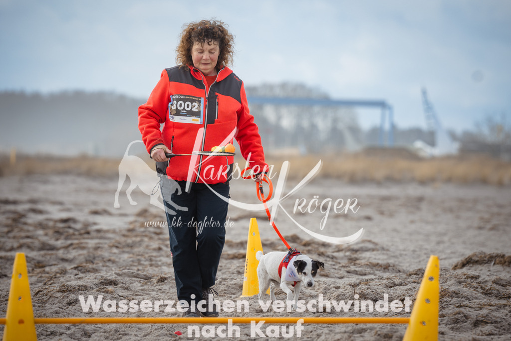 1208_ZZ94325 | kk-dogfotos