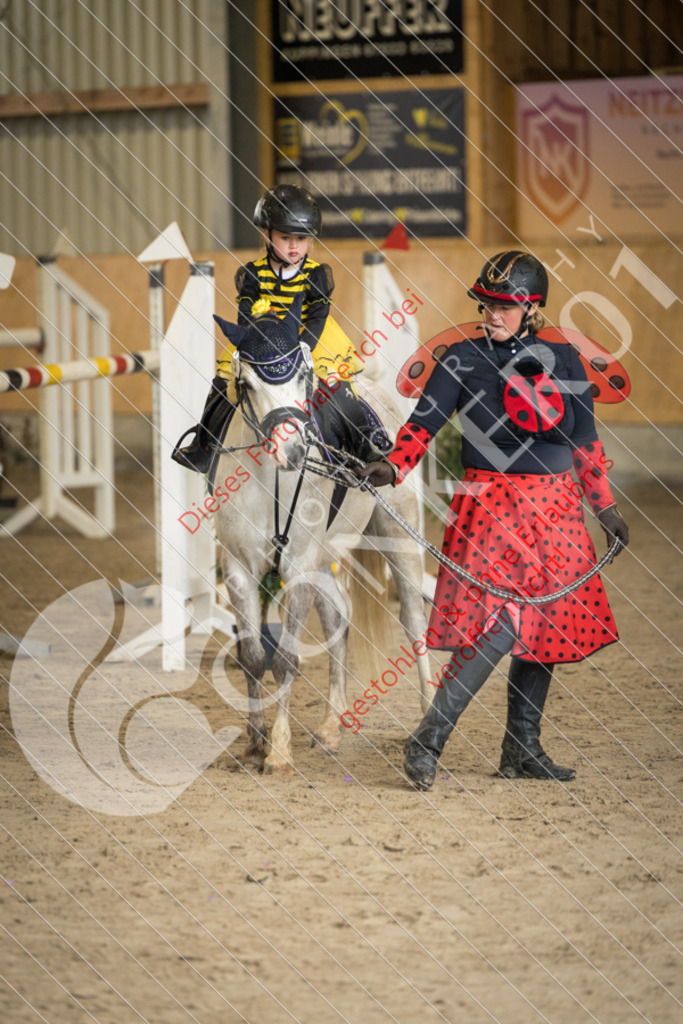 IMG_1971 | Sport-, Event- und Tierfotos in Profiqualität. Einfach auswählen, bestellen und herunterladen. Dein Moment – perfekt festgehalten.