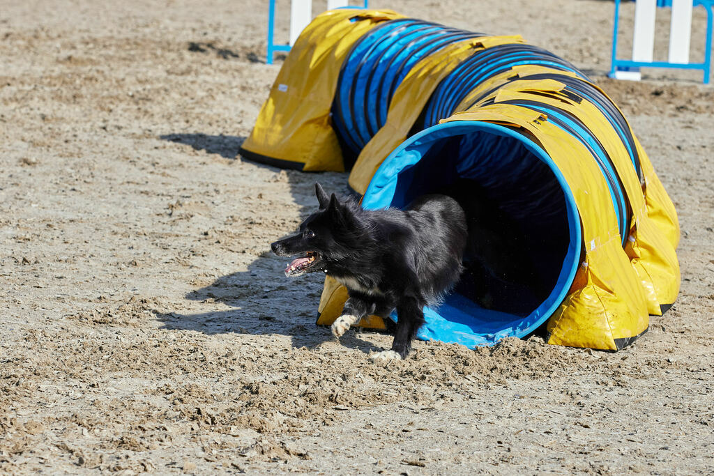 580A0064 | Peter Fridle Fotografie - Realisiert mit Pictrs.com