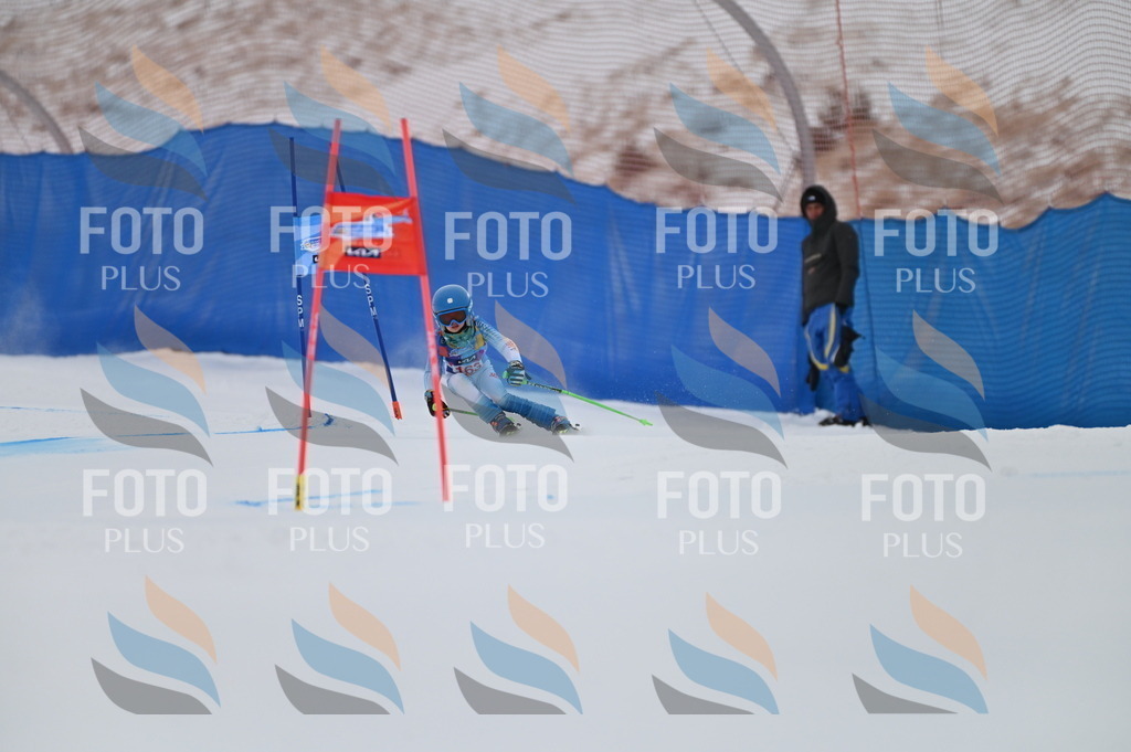 BGV_0242 | holidayphoto