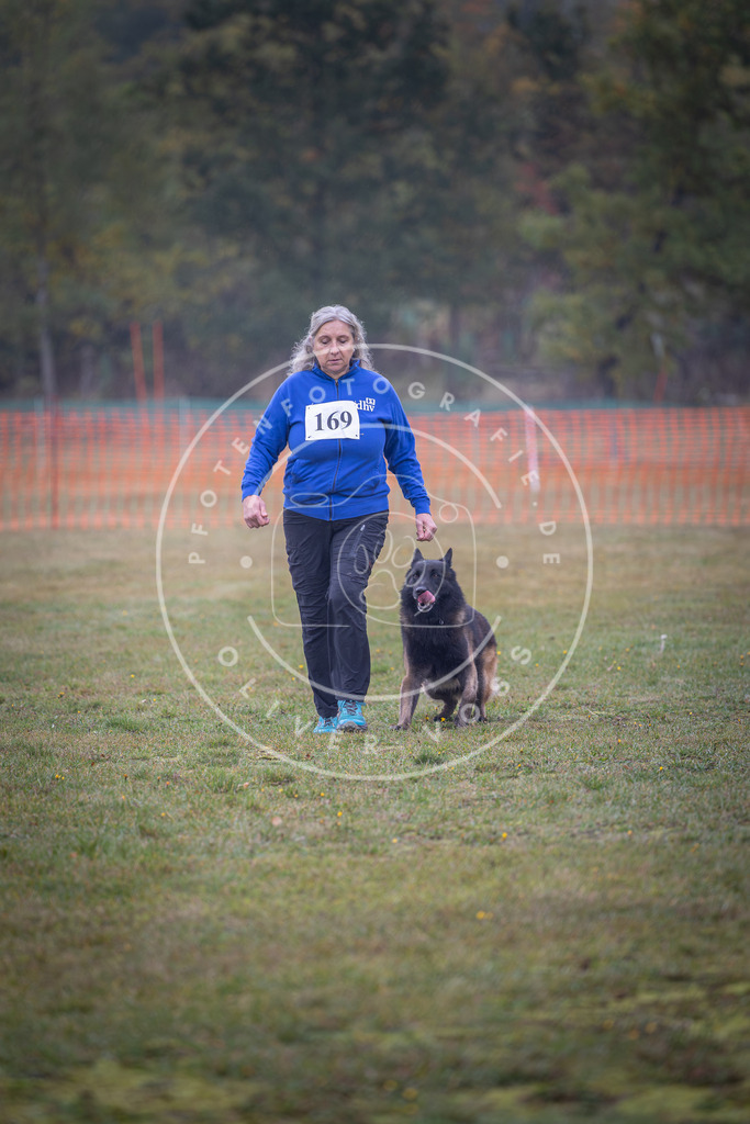 Pfotenfotografie_DV3A9085 | Hundefotografie, Tierfotograf, Pfotenfotografie, Fotoshooting Hund, Hunde Portrait, Hundesport, Hundeportraits, Heideshooting, Hunde, Sportfotograf, Hundefotograf, Turnierhundsport, THS,  - Realisiert mit Pictrs.com