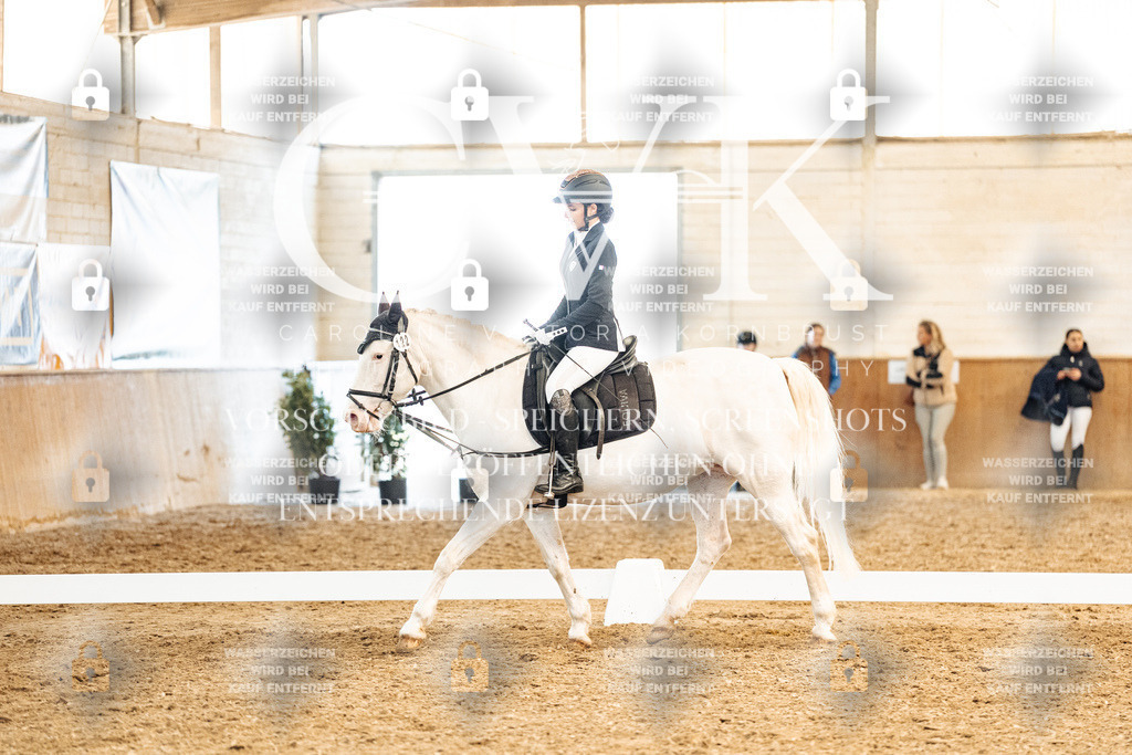 CK909968 | Turnierfotografie Pferdefotografie Trier Rheinland-Pfalz Pferdesport Reitsport Tierfotografie Sportfotografie Pferdevideo Pferdevideografie Equestrianvideography equestrianphotography  - Realized with Pictrs.com