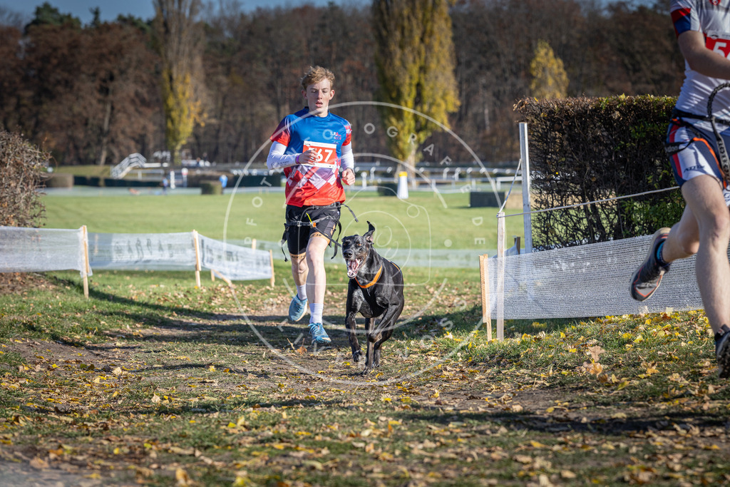 CaniXpix_DV3A8797 | Hundefotografie, Tierfotograf, Pfotenfotografie, Fotoshooting Hund, Hunde Portrait, Hundesport, Hundeportraits, Heideshooting, Hunde, Sportfotograf, Hundefotograf, Turnierhundsport, THS,  - Realisiert mit Pictrs.com