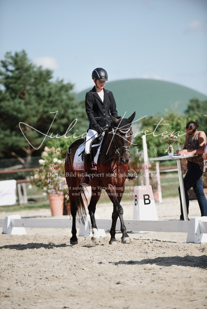 DSC_0058 | Pferde- und Turnierfotografie in Westsachsen. Pferdeportraits, Auftragszeichnungen und intuitive Kunst.