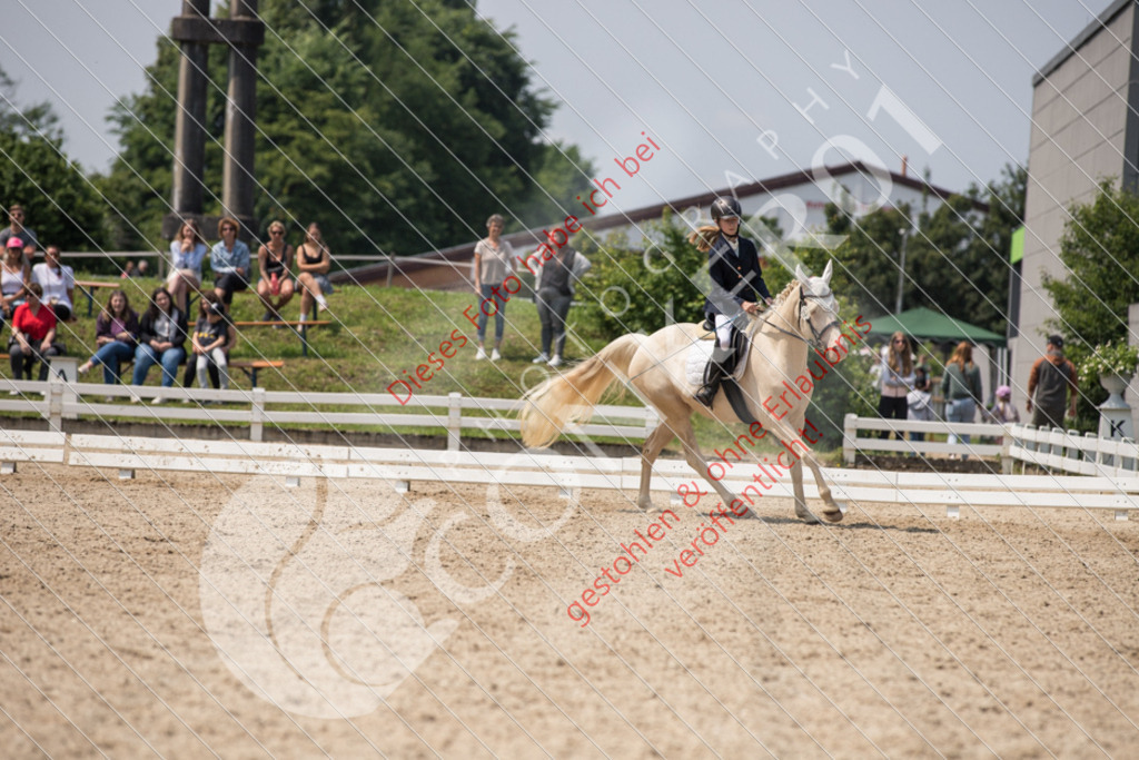 IMG_3799 | Sport-, Event- und Tierfotos in Profiqualität. Einfach auswählen, bestellen und herunterladen. Dein Moment – perfekt festgehalten.