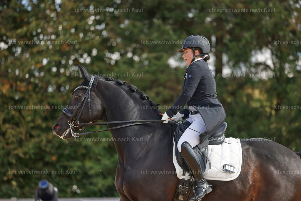 09_2-183-DRESSUR  S_  -StoibPH-5907 | working equitationturnier fotograf videograf stoibphotography marixx film working equitation deutschland reitsport turnierfotografie eventfotografie equestrian events