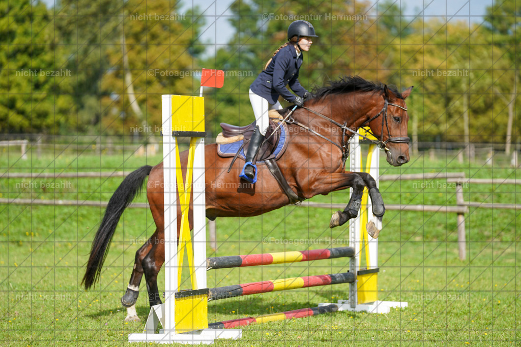 20230917-FAH09214 | Landsberg am Lech, 2023, Kaufbeuren, Kempten, Allgäu, Turnierfotografen Bayern, Fotoagentur Herrmann, Turnierbilder, Reitsport Fotos, Pferdefotograf, Augsburg, Bad Tölz, Dachau, Karlsfeld, Memmingen, Buchloe, Schwabmünchen