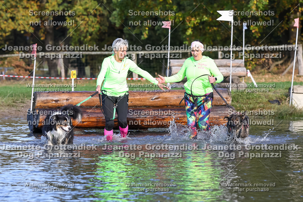 Dog Paparazzi - Strongdog 10-25-8506 | Dog Paparazzi Jeanette Grottendiek Fotografie & Videografie - Realisiert mit Pictrs.com