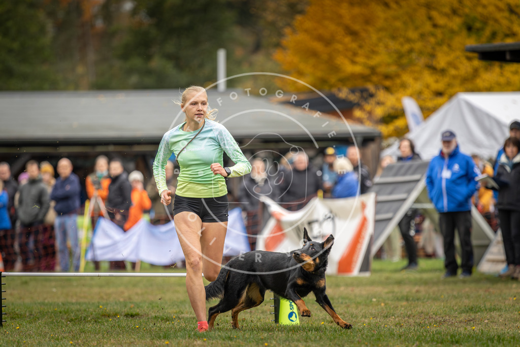 Pfotenfotografie_DV3A3295 | Hundefotografie, Tierfotograf, Pfotenfotografie, Fotoshooting Hund, Hunde Portrait, Hundesport, Hundeportraits, Heideshooting, Hunde, Sportfotograf, Hundefotograf, Turnierhundsport, THS,  - Realisiert mit Pictrs.com