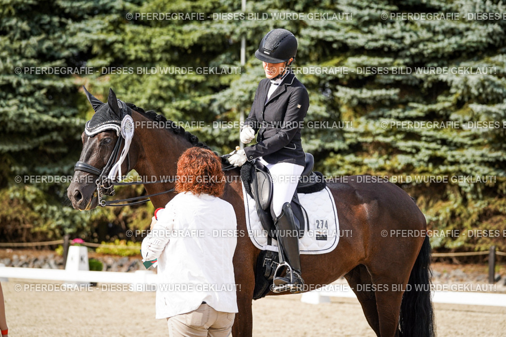 DSC07533 | Pferdegrafie