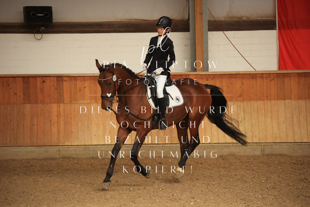 IMGT5394 | pl-fotografie