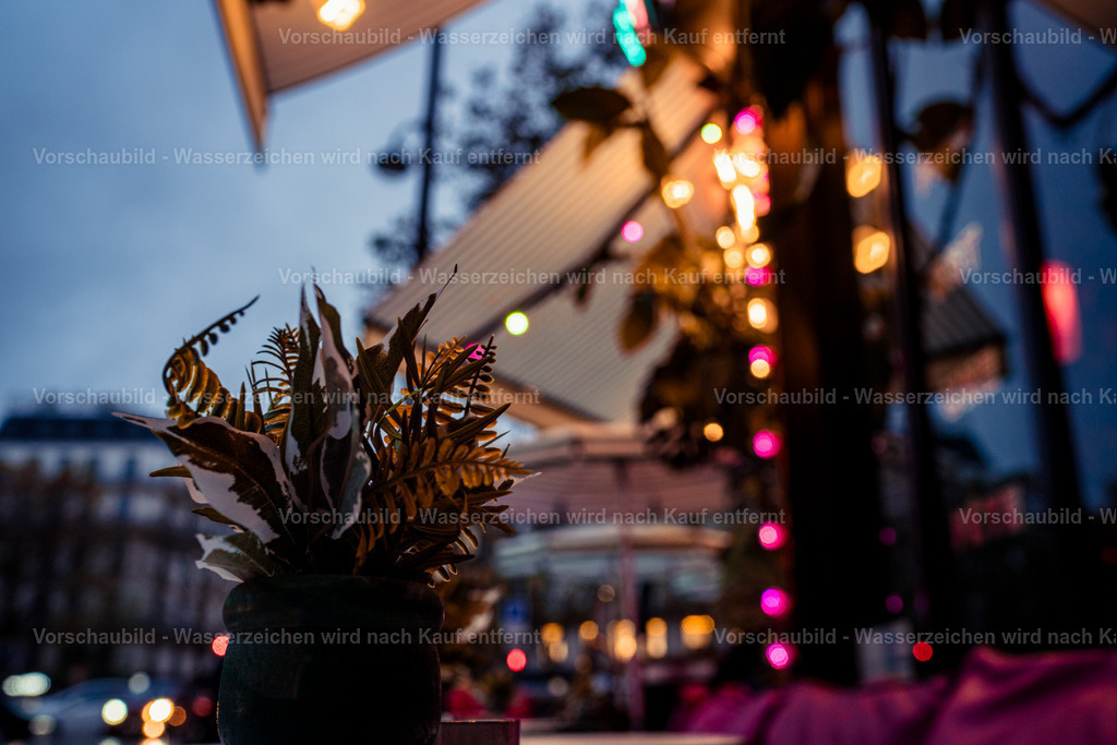 DSC09047-2 2 | marcuslinek