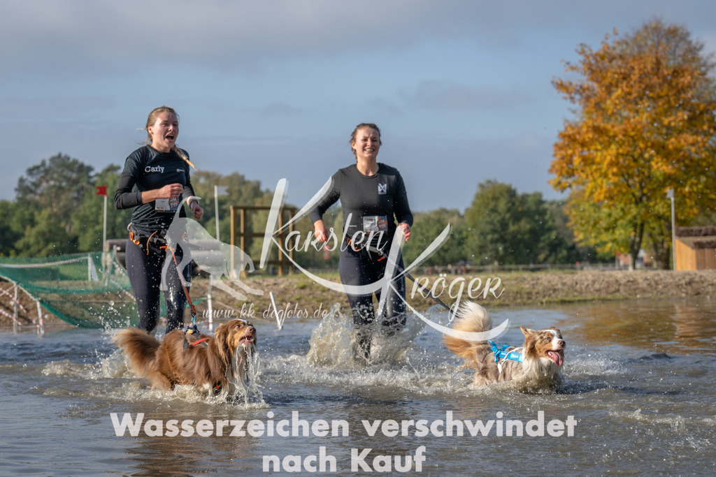 1106_ZZ91554 | kk-dogfotos