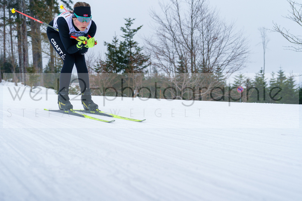 DSC Arber | Bayerischer Wald am 9. bis 12. Februar 2023
