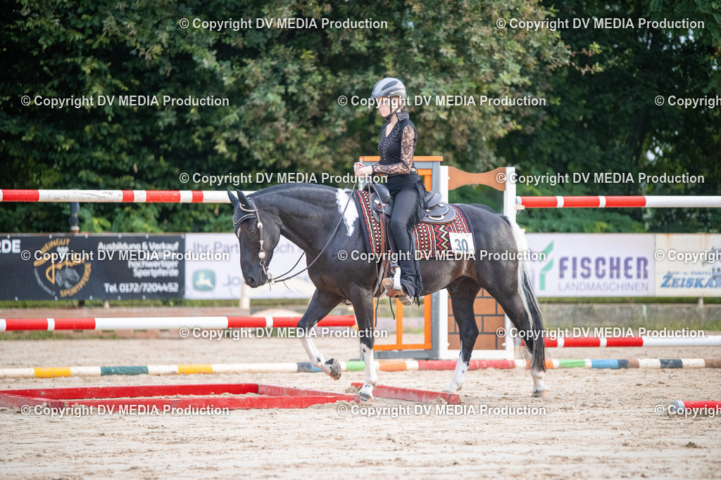 ZS3_4500 | dv-media-shop - Realisiert mit Pictrs.com