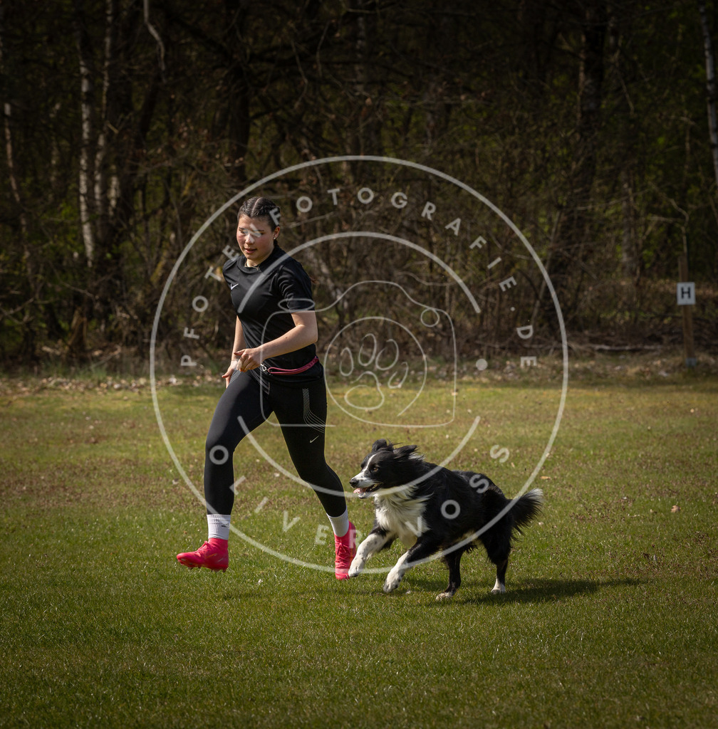 Pfotenfotografie_DV3A5081 | Hundefotografie, Tierfotograf, Pfotenfotografie, Fotoshooting Hund, Hunde Portrait, Hundesport, Hundeportraits, Heideshooting, Hunde, Sportfotograf, Hundefotograf, Turnierhundsport, THS,  - Realisiert mit Pictrs.com