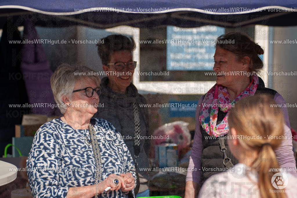 Pfötchenmarkt Nettetal-Lobberich 2026 - Nettetal-Tag - Daniel Wirth - www.allesWIRTHgut.de - @allesWIRTHgut_Tierfotografie 7R508210 | Professionelle Tierfotografie in Mönchengladbach von Daniel Wirth (allesWIRTHgut). Liebevolle & natürliche Bilder von Hunden & Katzen für unvergessliche Erinnerungen.
