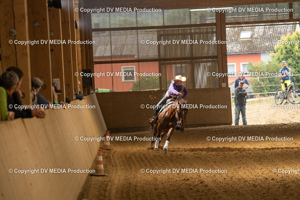 LAU00829 | dv-media-shop - Realisiert mit Pictrs.com