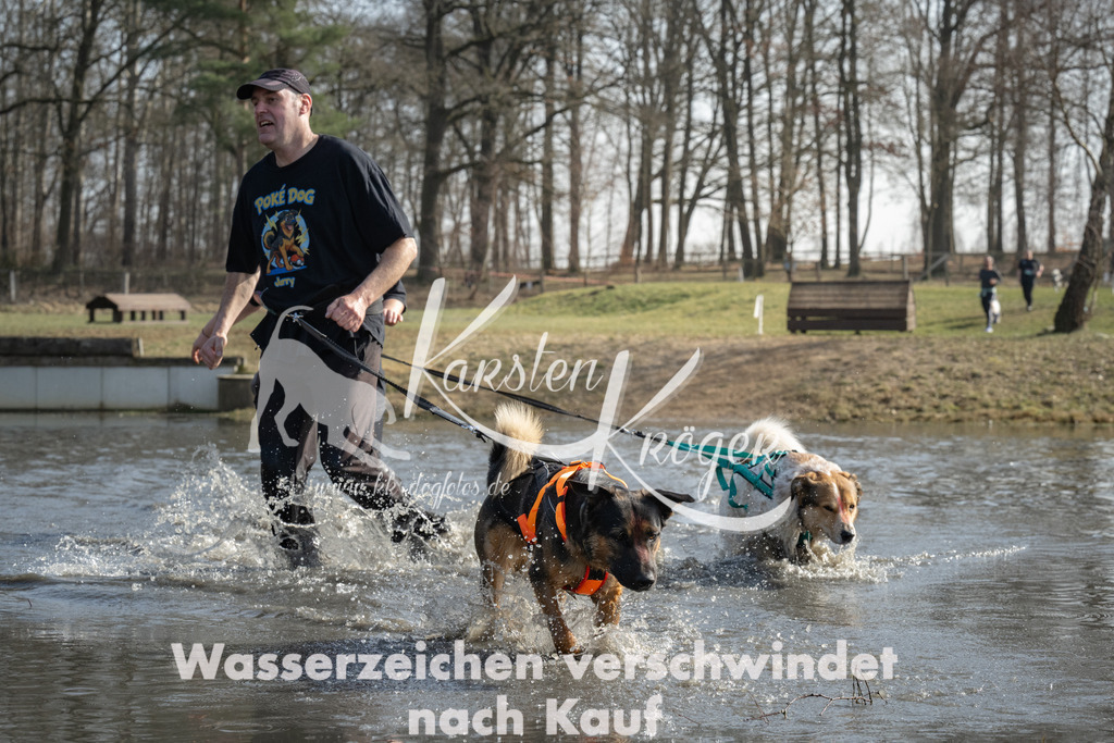 1301_ZZ93905 | kk-dogfotos