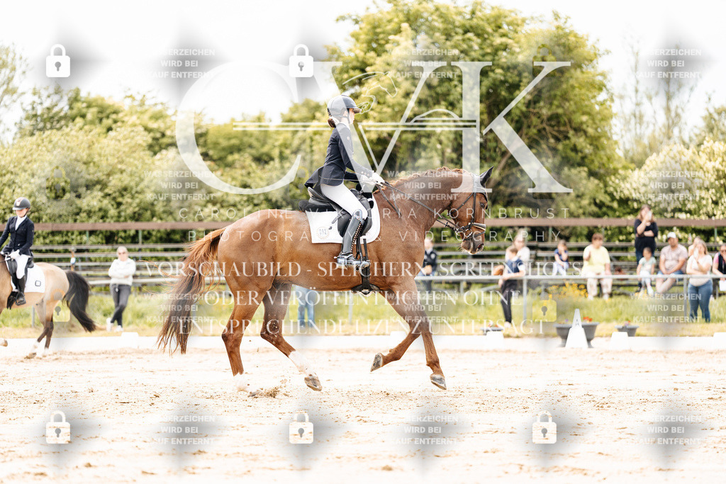 CK902839 | Turnierfotografie Pferdefotografie Trier Rheinland-Pfalz Pferdesport Reitsport Tierfotografie Sportfotografie Pferdevideo Pferdevideografie Equestrianvideography equestrianphotography  - Realisiert mit Pictrs.com