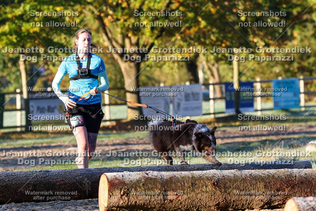 Dog Paparazzi - Strongdog 10-25-521 | Dog Paparazzi Jeanette Grottendiek Fotografie & Videografie - Realisiert mit Pictrs.com