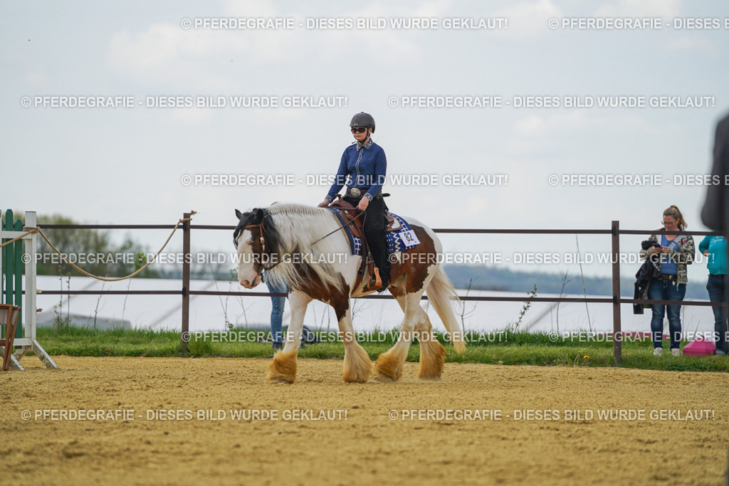 DSC06440 | Pferdegrafie