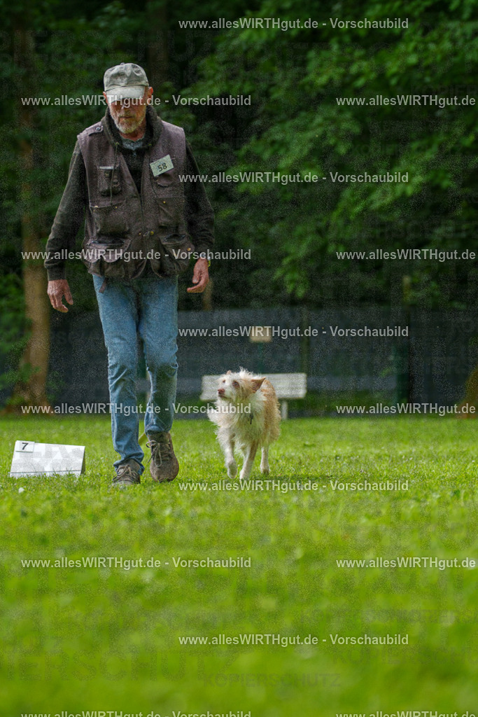 @allesWIRTHgut_Tierfotografie - www.allesWIRTHgut.de - 7R501336 | Professionelle Tierfotografie in Mönchengladbach von Daniel Wirth (allesWIRTHgut). Liebevolle & natürliche Bilder von Hunden & Katzen für unvergessliche Erinnerungen.