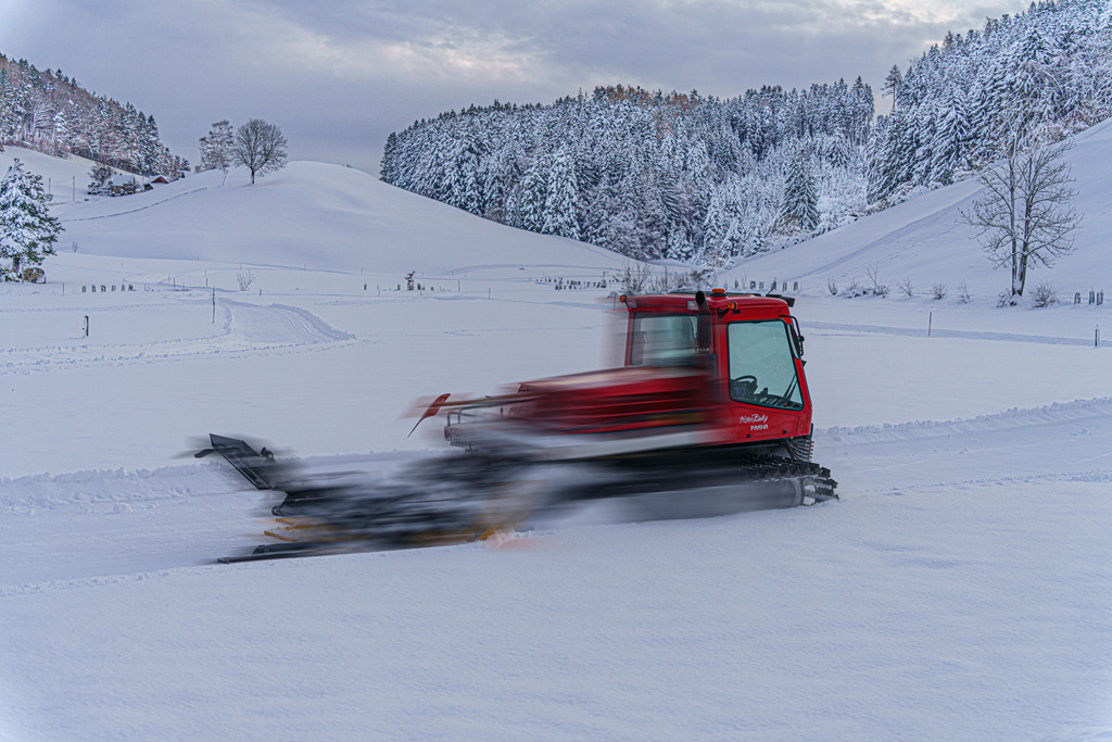 2021_12_10 BRM04808 | bridgeman - Realisiert mit Pictrs.com