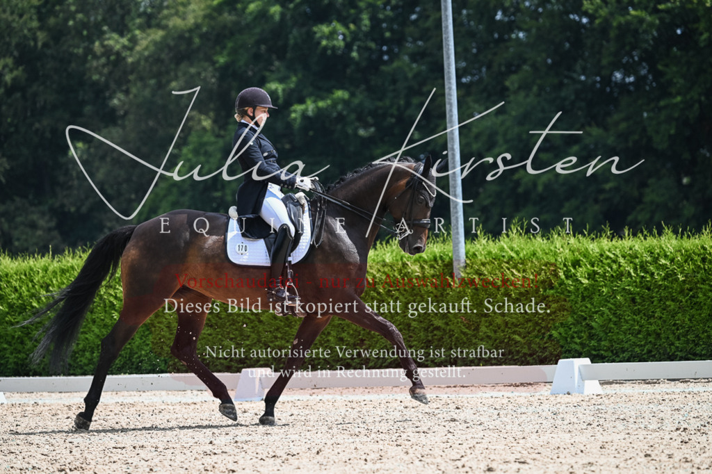 DSC_2553 | Pferde- und Turnierfotografie in Westsachsen. Pferdeportraits, Auftragszeichnungen und intuitive Kunst.