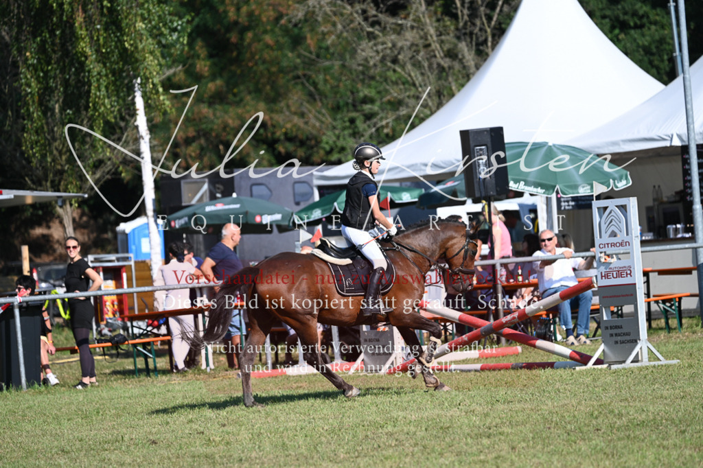 DSC_5230 | Pferde- und Turnierfotografie in Westsachsen. Pferdeportraits, Auftragszeichnungen und intuitive Kunst.