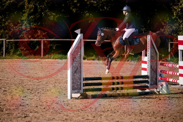 2026_10_03_Siefer-Hof_155352_Z81_73671433 | Professionelle Reitsport-, Turnier- und Eventfotografie von Robert Broda. Galerien mit ausgewählten und bearbeiteten Bildern direkt online ansehen und bestellen.
