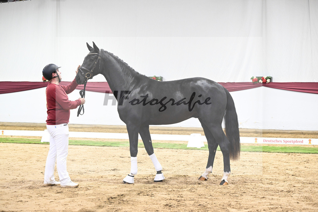 Kat-Nr. 40 Segantini x Fidertanz_Thomas Casper_47251400 | hf-fotografie - Realisiert mit Pictrs.com