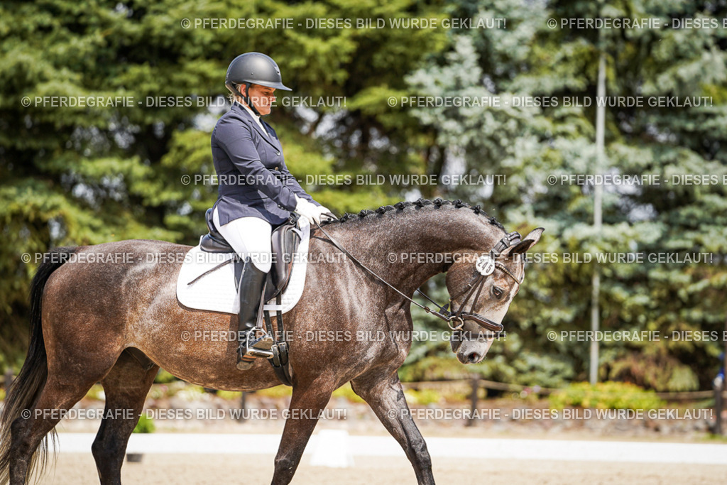 DSC03201 | Pferdegrafie