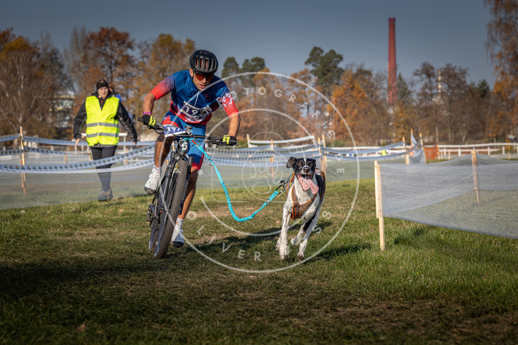 CaniXpix_0L8A6581 | Hundefotografie, Tierfotograf, Pfotenfotografie, Fotoshooting Hund, Hunde Portrait, Hundesport, Hundeportraits, Heideshooting, Hunde, Sportfotograf, Hundefotograf, Turnierhundsport, THS,  - Realisiert mit Pictrs.com